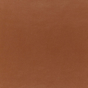 Canyon Leather Saddle 5006210 by Schumacher Wallcovering