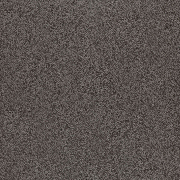 Canyon Leather Smoke 5006216 by Schumacher Wallcovering