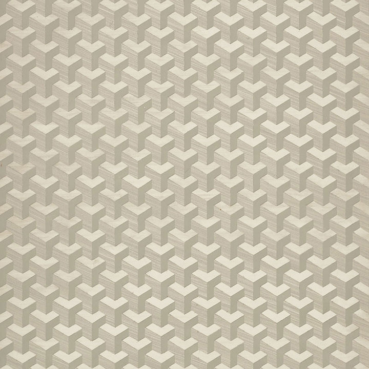Angolo Birch 5008200 by Schumacher Wallcovering