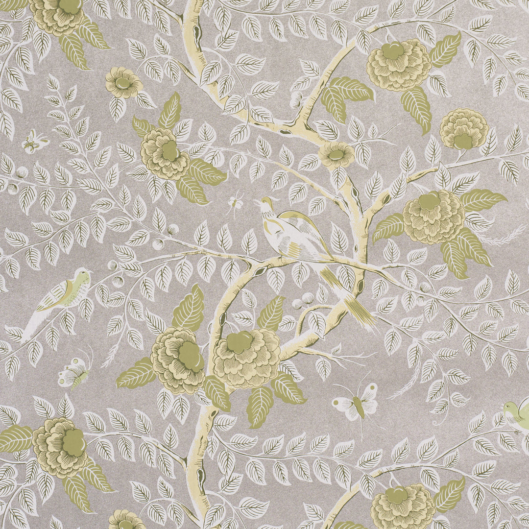 Tole Bird - Spring by Schumacher Wallcovering
