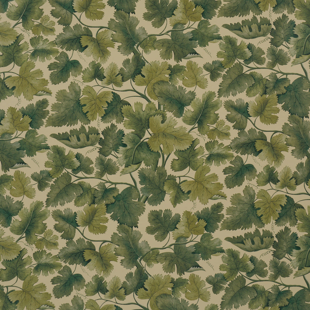 Edinburgh Vine - Forest by Schumacher Wallcovering