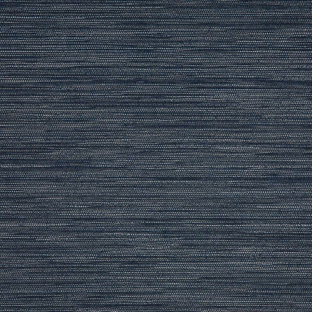 50203-0002 Collect Indigo by Sunbrella Fabric