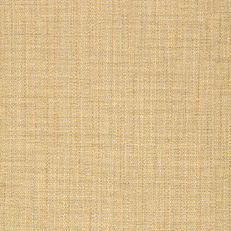 Thai Texture Desert 50232 by Schumacher Fabric CHROMA See Sample FRANCE MEDIUM DUTY </p><p>Repeat: Horizontal: - and Vertical: - 54" WIDE (137CM) - Fabric Carolina -