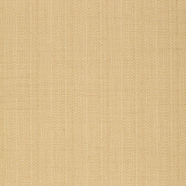 Thai Texture Desert 50232 by Schumacher Fabric CHROMA See Sample FRANCE MEDIUM DUTY </p><p>Repeat: Horizontal: - and Vertical: - 54" WIDE (137CM) - Fabric Carolina -
