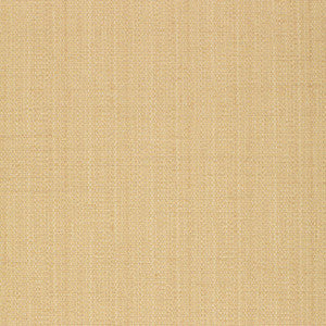 Thai Texture Desert 50232 by Schumacher Fabric