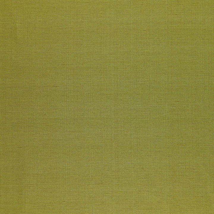 Poiret Satin Vert 50446 by Schumacher Fabric Schumacher Fabric Poiret Satin Vert 50446Fabric SILK 58% INDIA </p><p>Repeat: H: , V: 55 - Fabric Carolina -