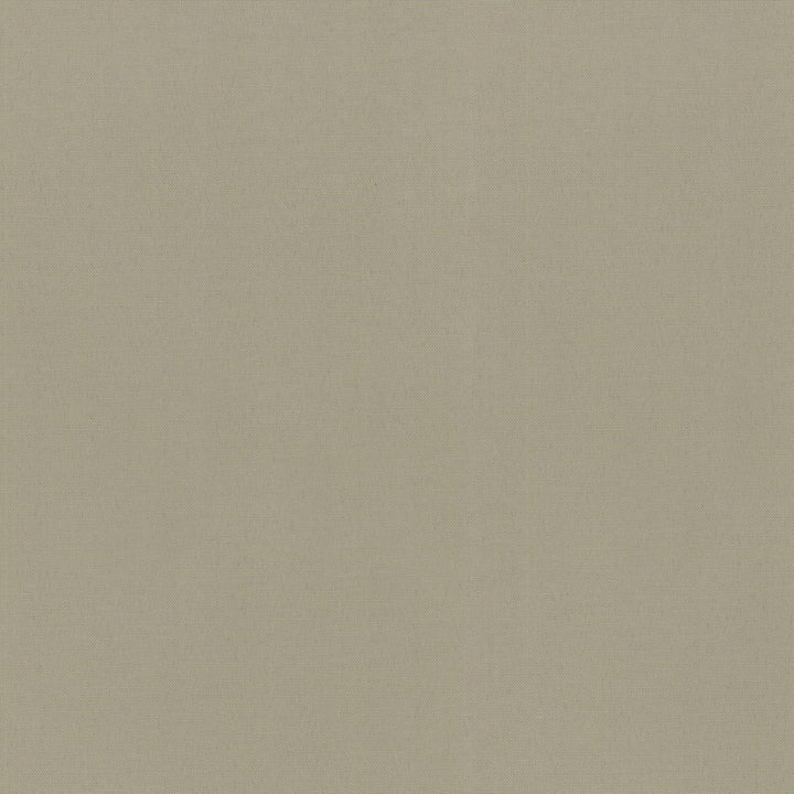 Od Radiance Swa Driftwood 505135 by PKL Studio Fabric - 100% Spun Polyester Duck U.S.A. 51000 Horizontal: 0 and Vertical: 0 54 - Fabric Carolina -