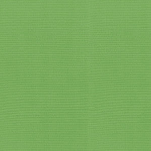 RADIANCE Gecko 505137 by PKL Studio Outdoor Fabric
