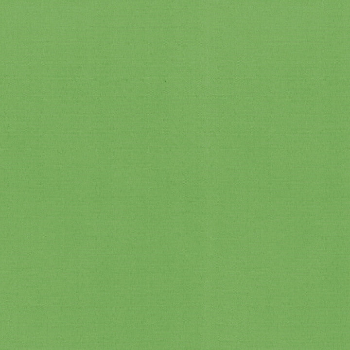 Radiance Gecko 505137 by PKL Studio Outdoor Fabric - 100% Spun Polyester Duck USA 51000 Horizontal: 0 and Vertical: 0 54 - Fabric Carolina -