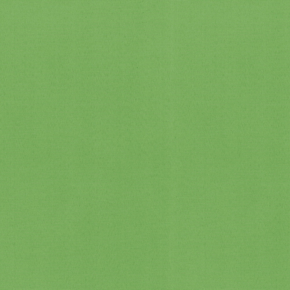 Radiance Gecko 505137 by PKL Studio Outdoor Fabric - 100% Spun Polyester Duck USA 51000 Horizontal: 0 and Vertical: 0 54 - Fabric Carolina -