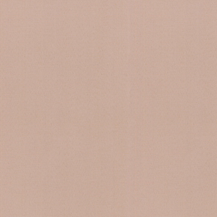 RADIANCE BALLET 505140 by PKL Studio Outdoor Fabric - BASE: 100% COTTON, EMB: 100% POLYESTER 51000 Horizontal: 0 and Vertical: 0 54 - Fabric Carolina -