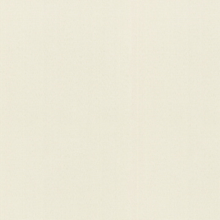 Radiance Snow 505141 by PKL Studio Outdoor Fabric - 100% Spun Polyester Duck USA 51000 Horizontal: 0 and Vertical: 0 54 - Fabric Carolina -