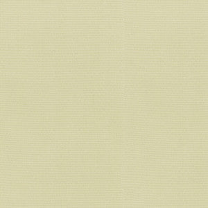 RADIANCE CANVAS 505142 by PKL Studio Outdoor Fabric