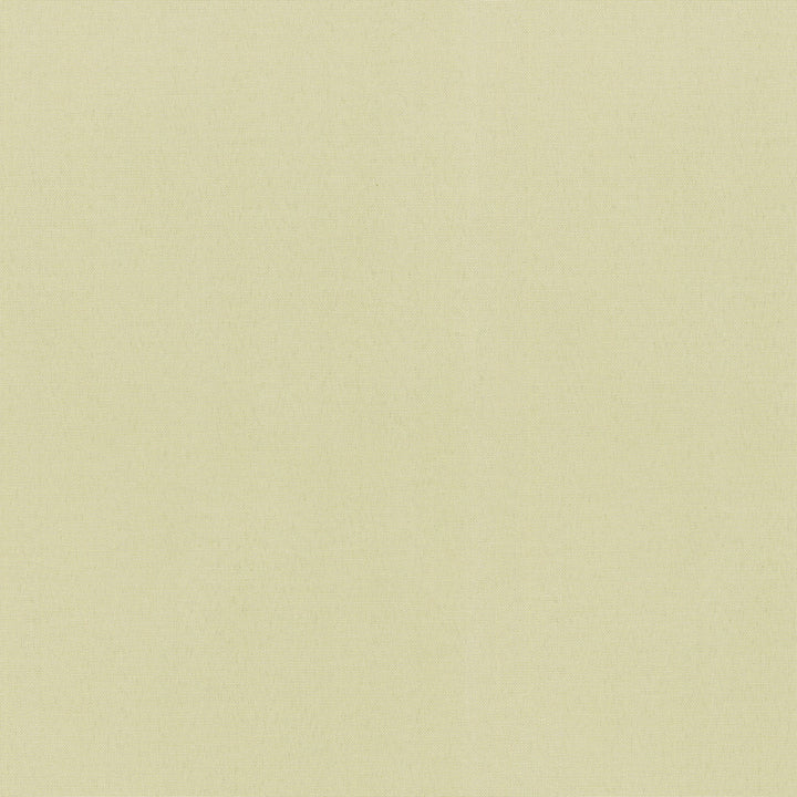 RADIANCE CANVAS 505142 by PKL Studio Outdoor Fabric - 75% OLEFIN 25% POLYESTER 51000 Horizontal: 0 and Vertical: 0 54 - Fabric Carolina -