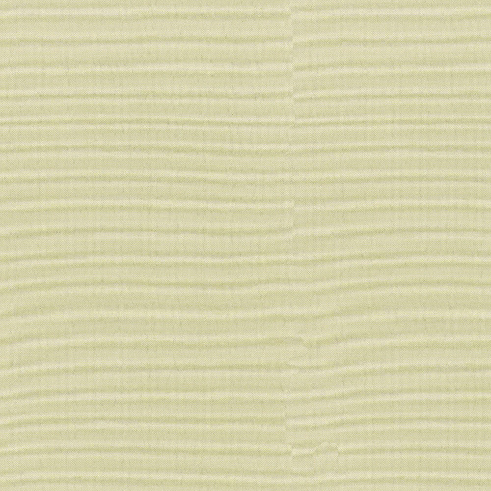 Radiance Canvas 505142 by PKL Studio Outdoor Fabric - 100% Spun Polyester Duck USA 51000 Horizontal: 0 and Vertical: 0 54 - Fabric Carolina -
