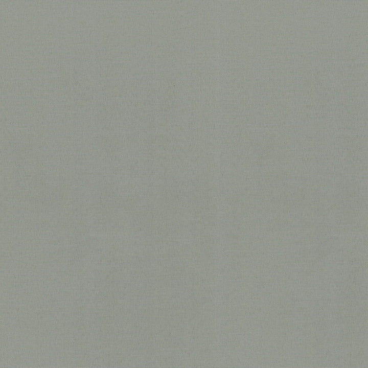 Od Radiance Swa Shadow 505144 by PKL Studio Fabric OD RADIANCE 100% Spun Polyester Duck U.S.A. Wyzenbeek 51,000 Horizontal: 0.00" and Vertical: 0.00" 54" - Fabric Carolina -