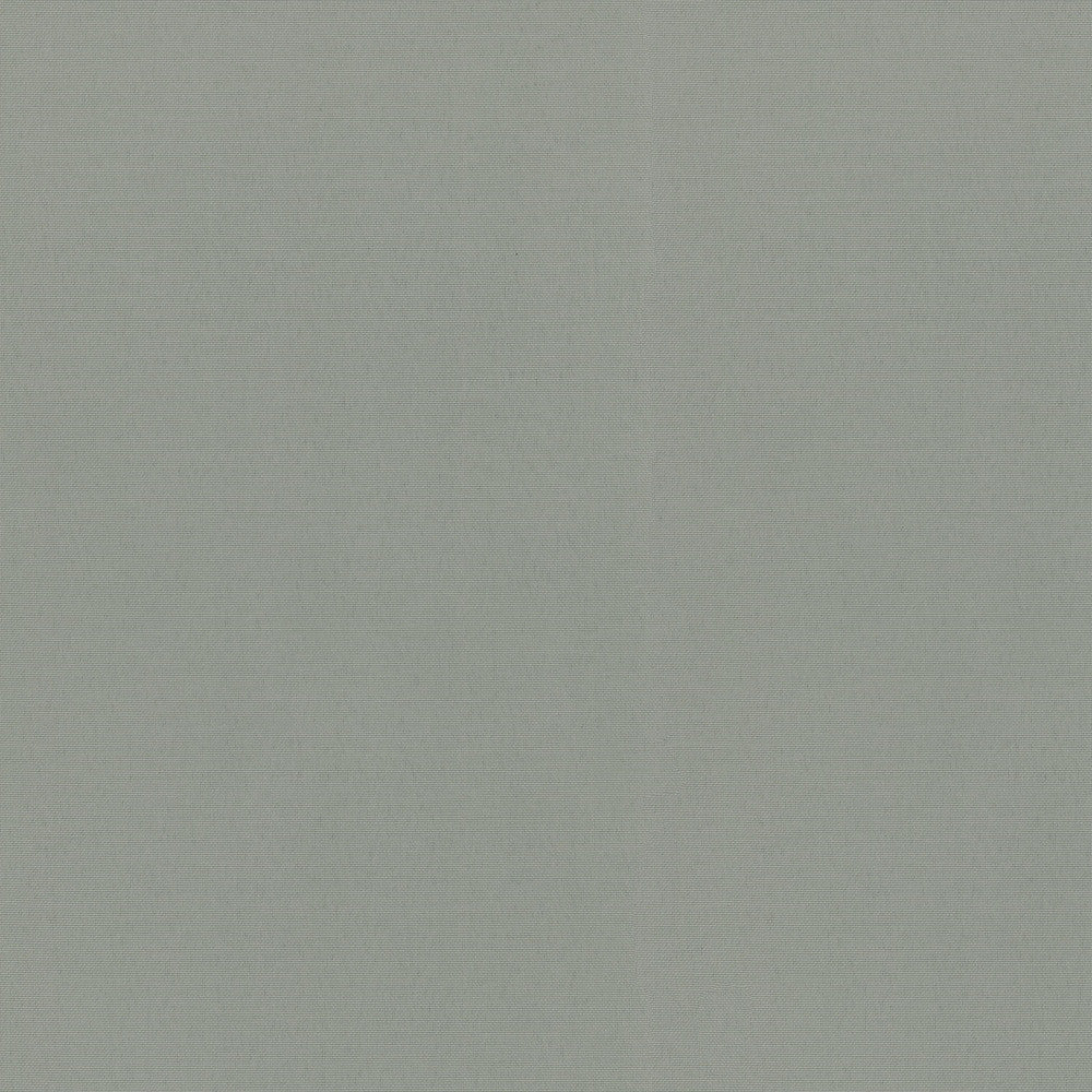 Radiance Shadow 505144 by PKL Studio Outdoor Fabric - 100% Spun Polyester Duck USA 51000 Horizontal: 0 and Vertical: 0 54 - Fabric Carolina -