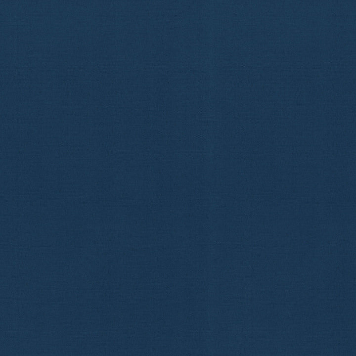 Radiance Navy 505146 by PKL Studio Outdoor Fabric - 100% Spun Polyester Duck USA 51000 Horizontal: 0 and Vertical: 0 54 - Fabric Carolina -