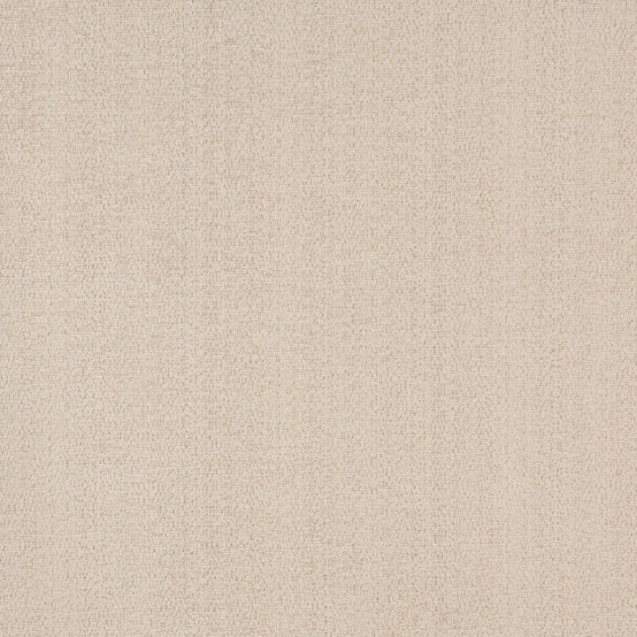 5062 Parchment by Charlotte Fabric Ring Book Page #37 100% Woven Polyester Asia Exceeds 90,000 Wyzenbeek Rubs (Heavy Duty) No Repeat 54 Inches - Fabric Carolina -