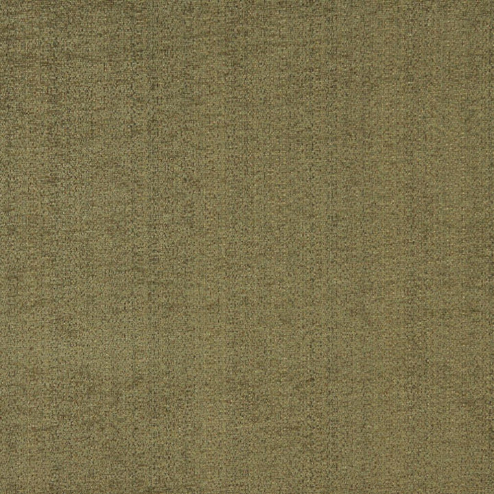 5063 Cypress by Charlotte Fabric Ring Book Page #37 100% Woven Polyester Asia Exceeds 90,000 Wyzenbeek Rubs (Heavy Duty) No Repeat 54 Inches - Fabric Carolina -