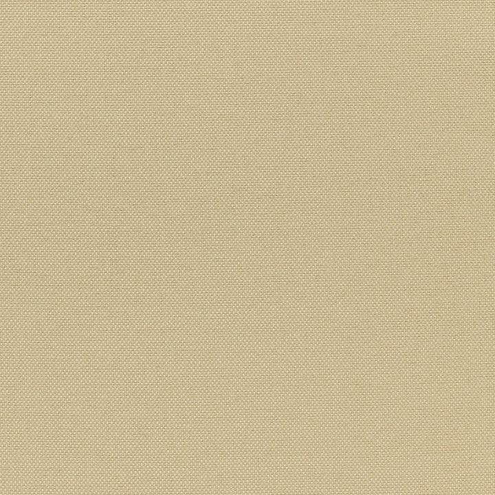 Beausoleil Ecru 50666 by Schumacher Fabric PLEIN AIR COLLECTION F04 See Sample FRANCE HEAVY DUTY </p><p>Repeat: Horizontal: - and Vertical: - 57" WIDE (145CM) - Fabric Carolina -
