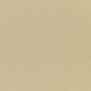 Beausoleil Ecru 50666 by Schumacher Fabric