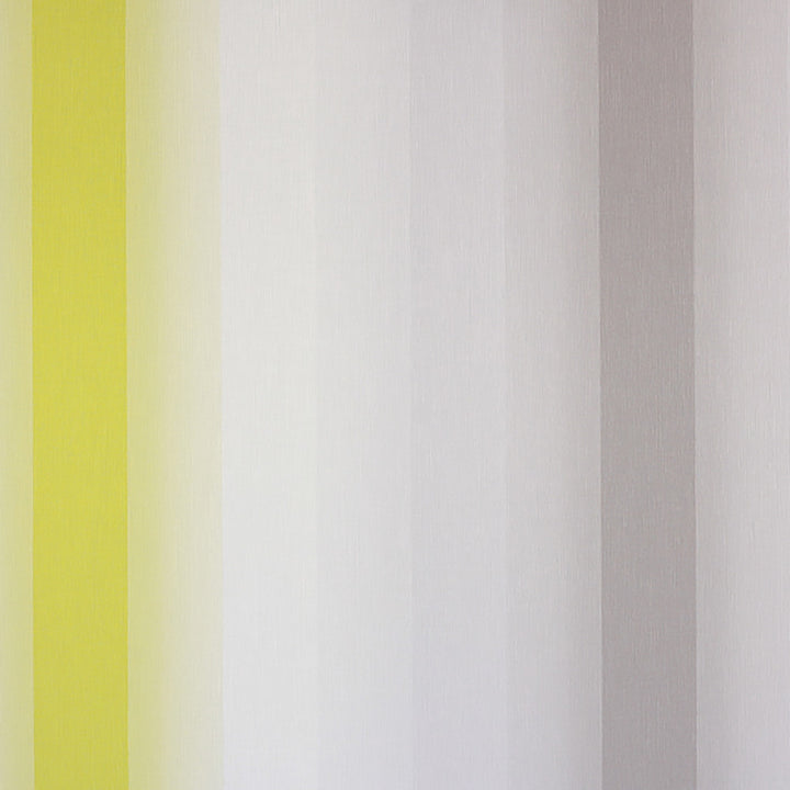 5076 73W6201 by JF Wallcovering JUST STRIPES WALLCOVERINGS 100% Wallpaper Italy Horizontal: and Vertical: 20 - Fabric Carolina -