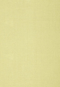 Gweneth Linen Willow 50824 by Schumacher Fabric