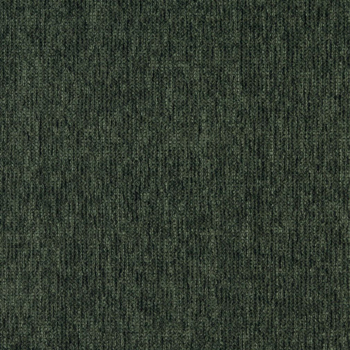 5094 Spruce by Charlotte Fabric Ring Book Page #39 100% Woven Polyester Asia Exceeds 90,000 Wyzenbeek Rubs (Heavy Duty) </p><p>Repeat: No Repeat 54 Inches - Fabric Carolina -