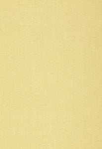 Gweneth Linen Bamboo 50977 by Schumacher Fabric