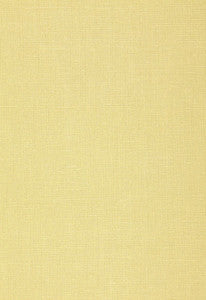Gweneth Linen Bamboo 50977 by Schumacher Fabric