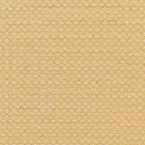 Sorrento Chenille Maize 51190 by Schumacher Fabric