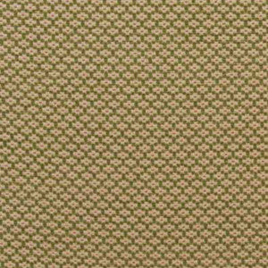 Sorrento Chenille Fern 51194 by Schumacher Fabric
