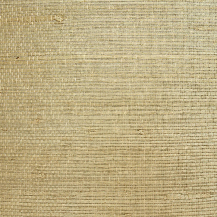 5131 32W6331 by JF Wallcovering BEIJING GRASSCLOTH 100% Wallpaper China Horizontal: and Vertical: N 35.8 - Fabric Carolina -