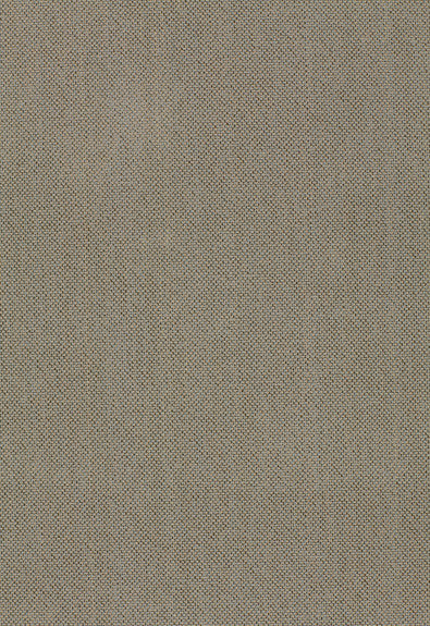 Olivier Epingle' Mist 51432 by Schumacher Fabric Chroma 100% Cotton Martindale 20,000 Horizontal: - and Vertical: - 53 - Fabric Carolina -