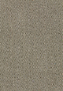 Olivier Epingle' Mist 51432 by Schumacher Fabric