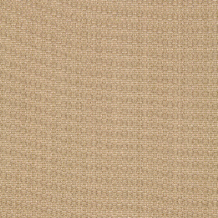 Cellini Texture Beige 51457 by Schumacher Fabric OPULENT TEXTURES POLYESTER 44% VISCOSE 42% ITALY MARTINDALE 19,000 </p><p>Repeat: Horizontal: 1/2" (1CM) and Vertical: 1/4" (1CM) 55.625 - Fabric Carolina -
