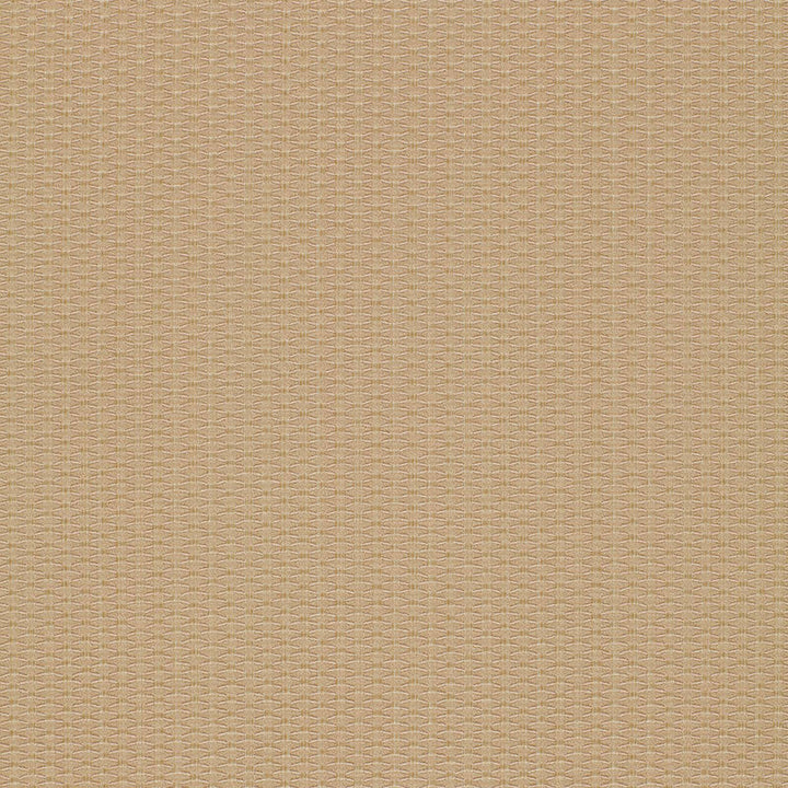 Cellini Texture Beige 51457 by Schumacher Designer Fabric OPULENT TEXTURES POLYESTER 44% VISCOSE 42% ITALY MARTINDALE 19,000 </p><p>Repeat: Horizontal: 1/2" (1CM) and Vertical: 1/4" (1CM) 55.625 - Swanky Fabrics -