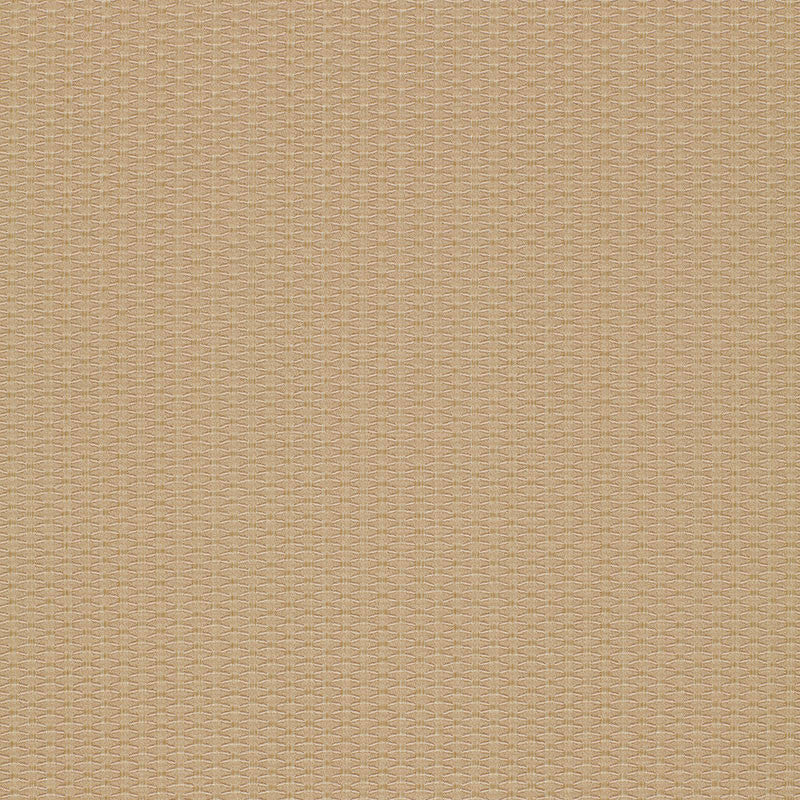 Cellini Texture Beige 51457 by Schumacher Designer Fabric OPULENT TEXTURES See Sample ITALY MEDIUM DUTY </p><p>Repeat: Horizontal: 1/2" (1CM) and Vertical: 1/4" (1CM) 55 5/8" WIDE (141CM) - Swanky Fabrics -