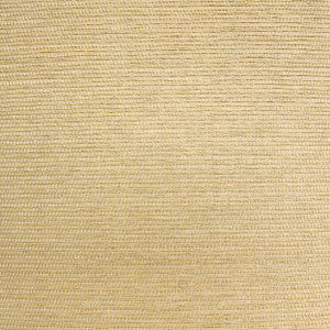 5150 13W6331 By JF Wallcovering