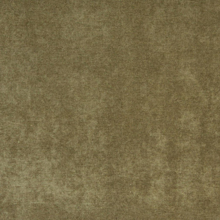 5151 Basil by Charlotte Fabric Ring Book Page #41 100% Woven Polyester Asia Exceeds 240,000 Wyzenbeek Rubs (Heavy Duty) </p><p>Repeat: No Repeat 54 Inches - Fabric Carolina -