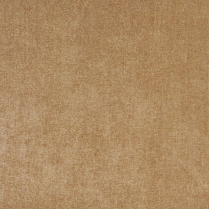 5153 Camel by Charlotte Fabric Ring Book Page #41 100% Woven Polyester Asia Exceeds 240,000 Wyzenbeek Rubs (Heavy Duty) </p><p>Repeat: 54 Inches - Fabric Carolina -