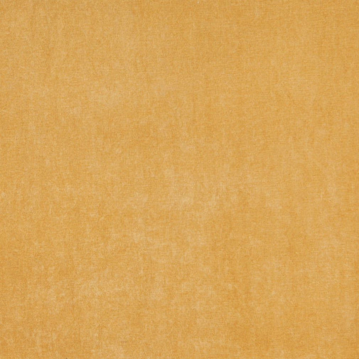 5160 Straw by Charlotte Fabric Ring Book Page #41 100% Woven Polyester Asia Exceeds 130,000 Wyzenbeek Rubs (Heavy Duty) No Repeat 54 Inches - Fabric Carolina -