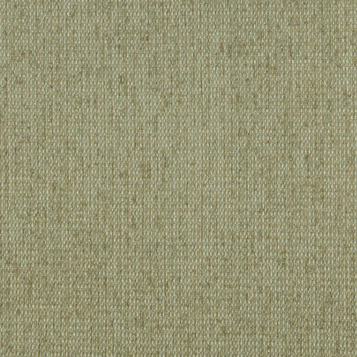 5170 Willow by Charlotte Fabric Ring Book Page #38 & 15A 100% Woven Polyester Asia Exceeds 110,000 Wyzenbeek Rubs (Heavy Duty) No Repeat 54 Inches - Fabric Carolina -