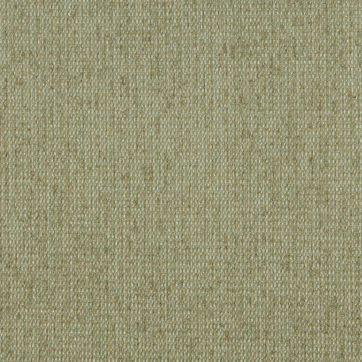 5170 Willow by Charlotte Designer Fabric Ring Book Page #38 & 15A 100% Woven Polyester Asia Exceeds 110,000 Wyzenbeek Rubs (Heavy Duty) No Repeat 54 Inches - Swanky Fabrics -