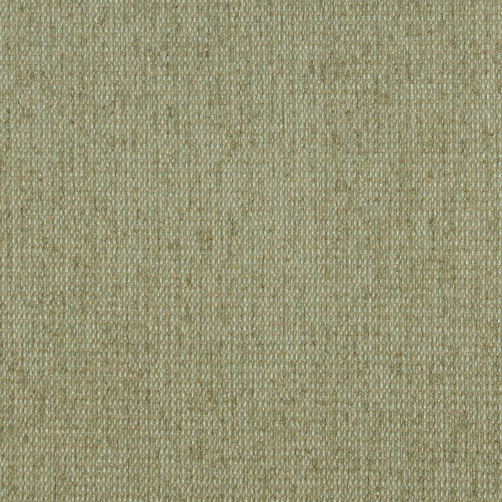 5170 Willow by Charlotte Fabric Ring Book Page #38 & 15A 100% Woven Polyester Asia Exceeds 110,000 Wyzenbeek Rubs (Heavy Duty) No Repeat 54 Inches - Fabric Carolina -
