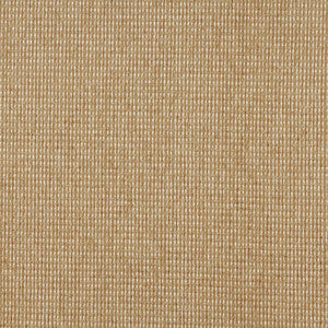 5172 Seagrass by Charlotte Fabric