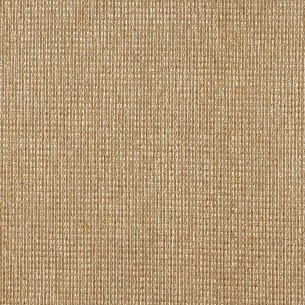 5172 Seagrass by Charlotte Fabric Ring Book Page #38 100% Woven Polyester Asia Exceeds 110,000 Wyzenbeek Rubs (Heavy Duty) No Repeat 54 Inches - Fabric Carolina -