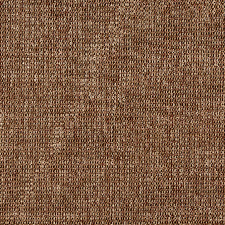 5173 Nutmeg by Charlotte Fabric Ring Book Page #38 100% Woven Polyester Asia Exceeds 240,000 Wyzenbeek Rubs (Heavy Duty) </p><p>Repeat: No Repeat 54 Inches - Fabric Carolina -