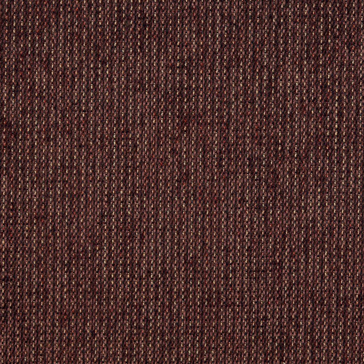 5175 Sable by Charlotte Fabric Ring Book Page #38 100% Woven Polyester Asia Exceeds 110,000 Wyzenbeek Rubs (Heavy Duty) No Repeat 54 Inches - Fabric Carolina -